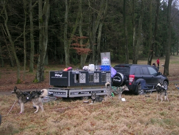 Bil og trailer i Silkeborg 2009